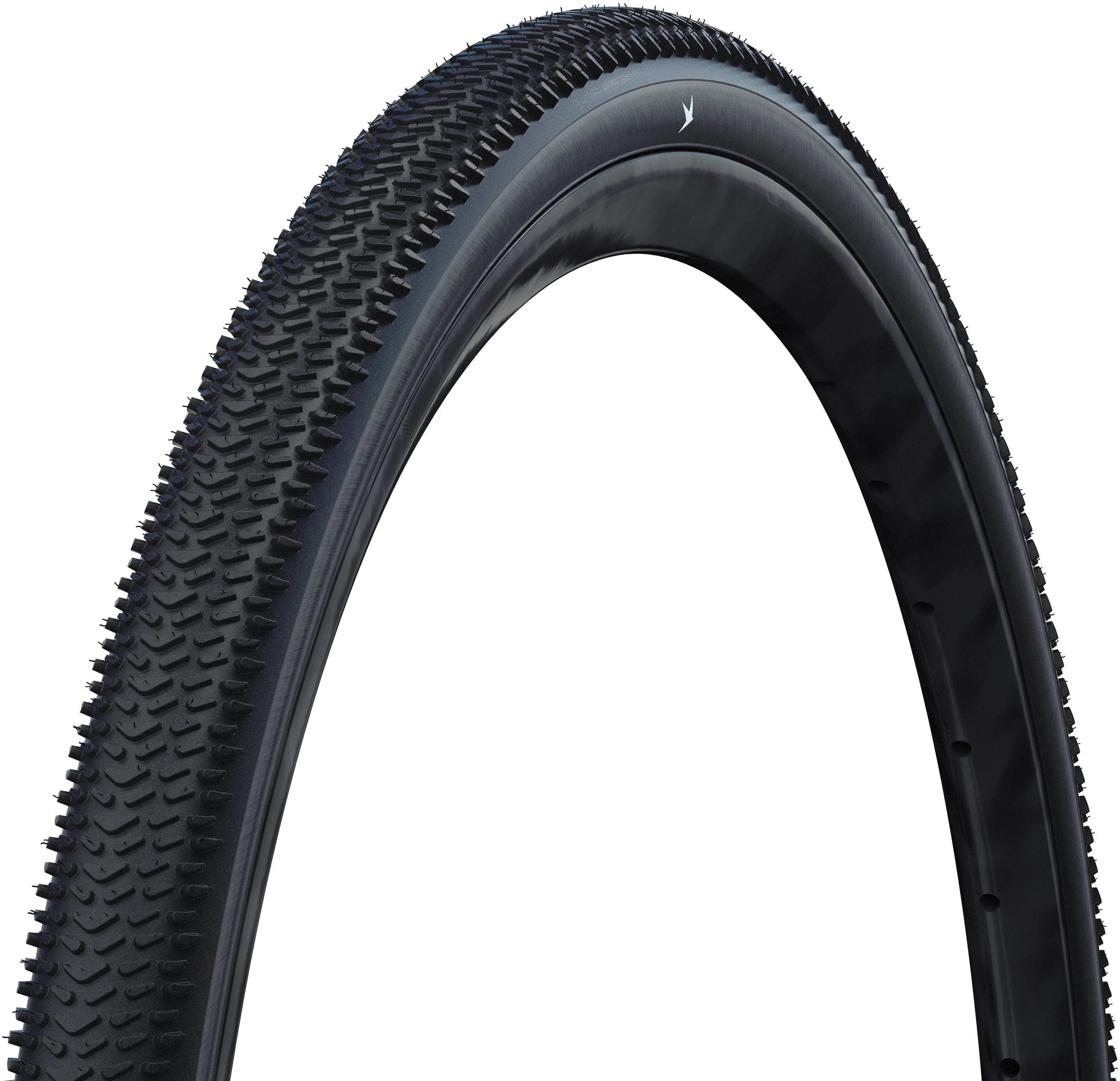 Schwalbe G-One R Pro Tire