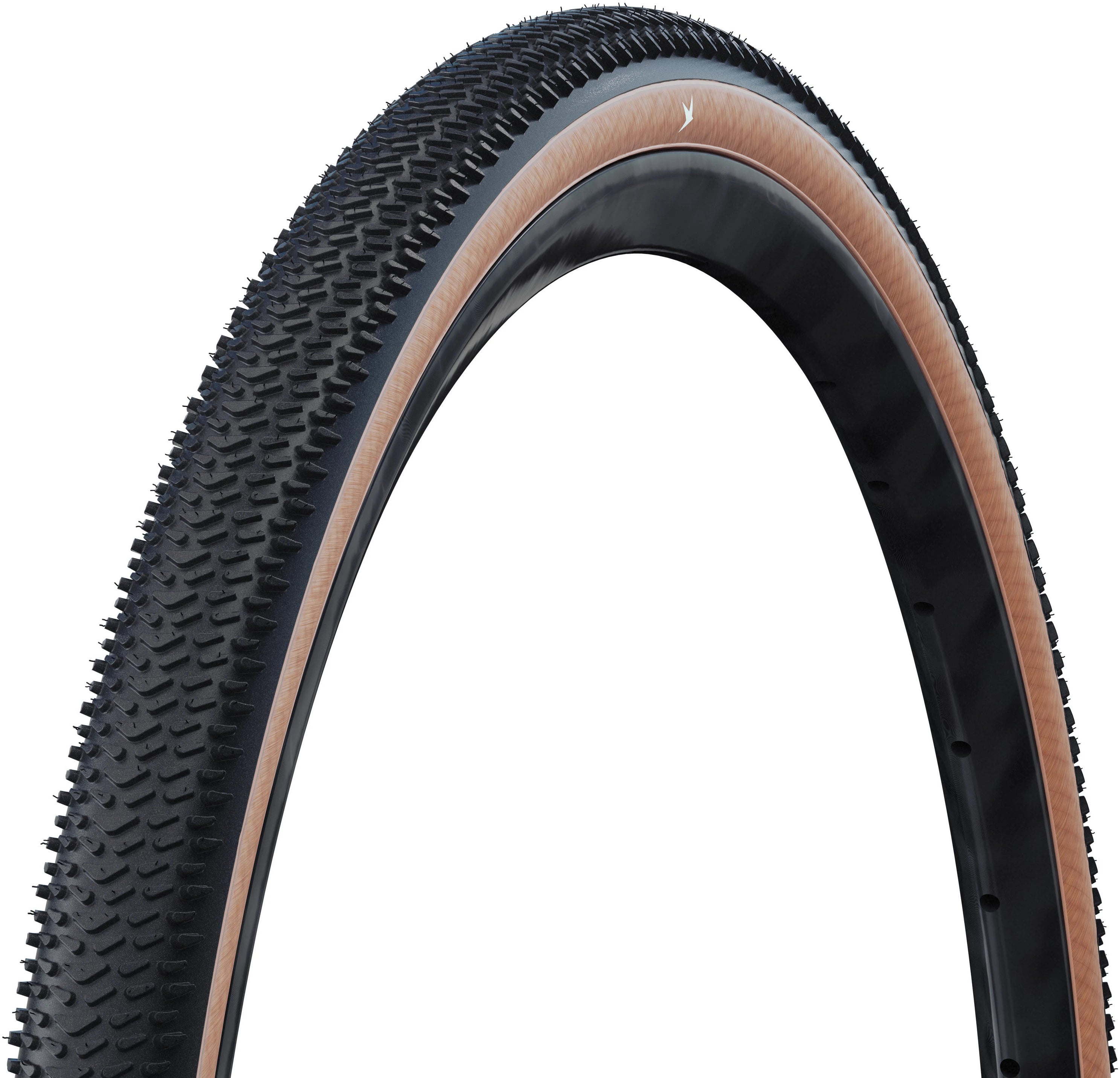 Schwalbe G-One R Pro Tire