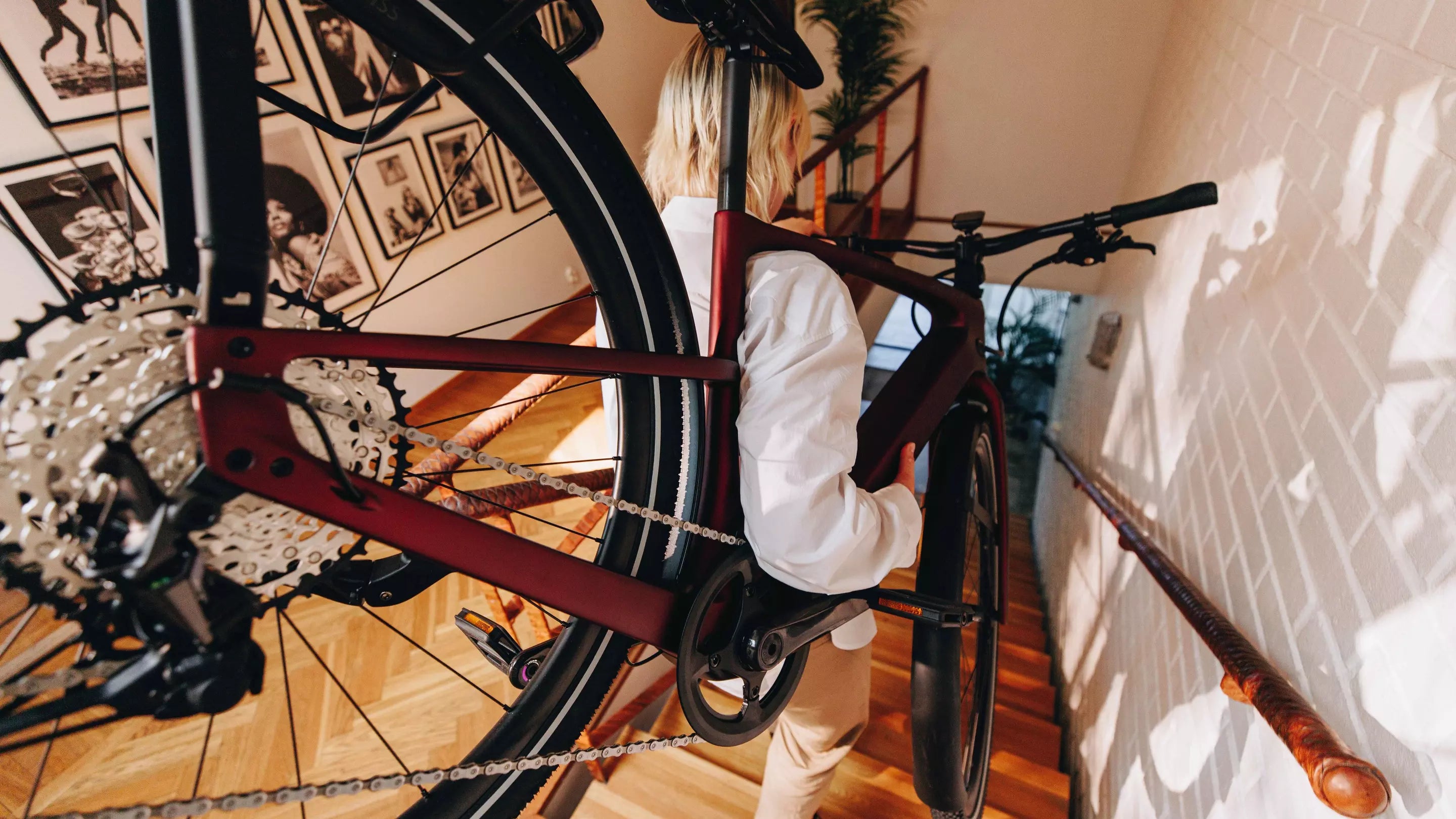 Lightweight Electric Bikes