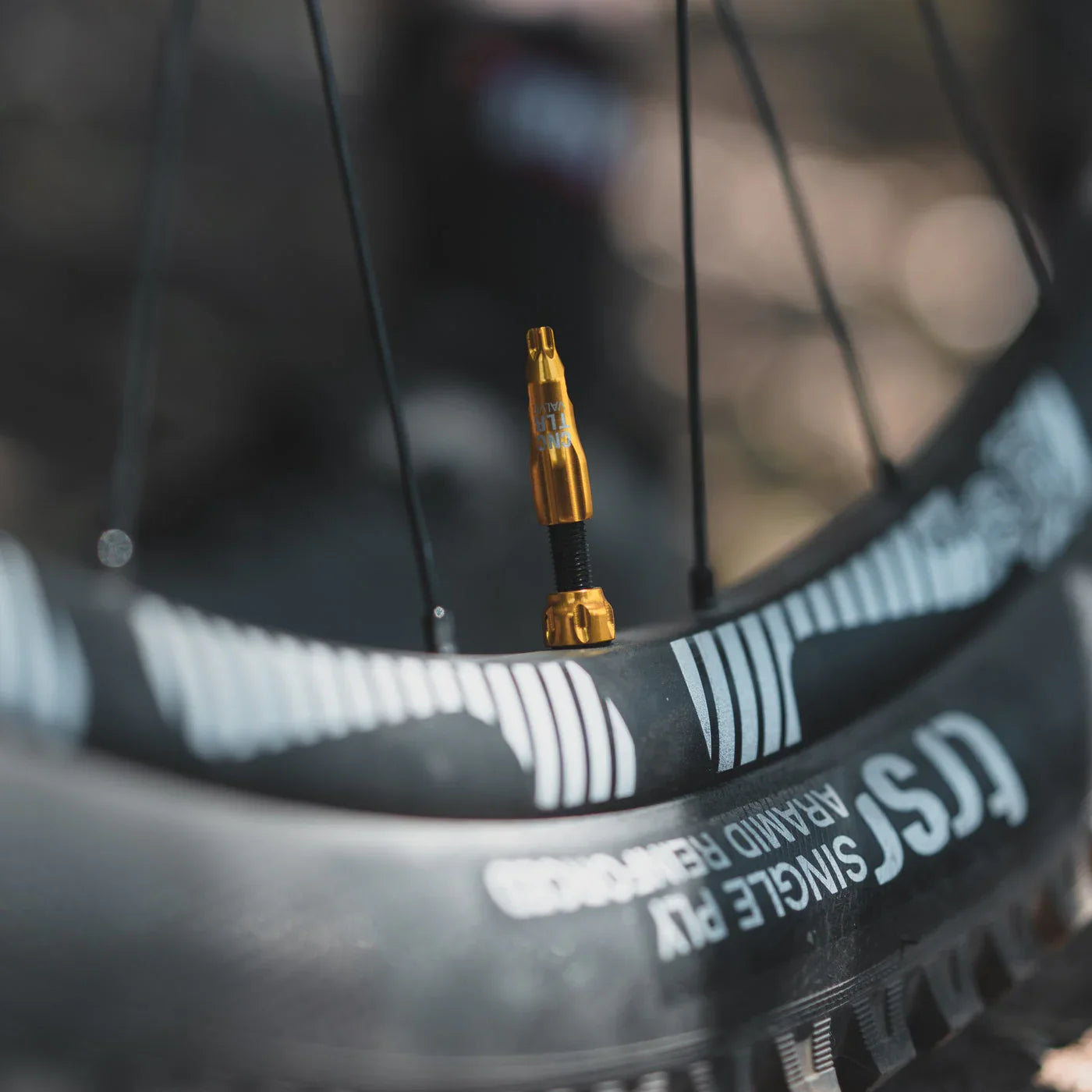 Lezyne Tubeless Valves (Gold)