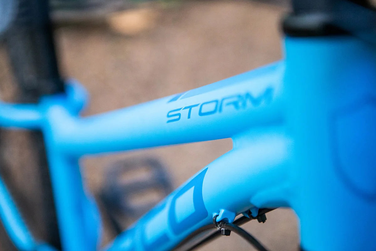 Norco Storm 4.1