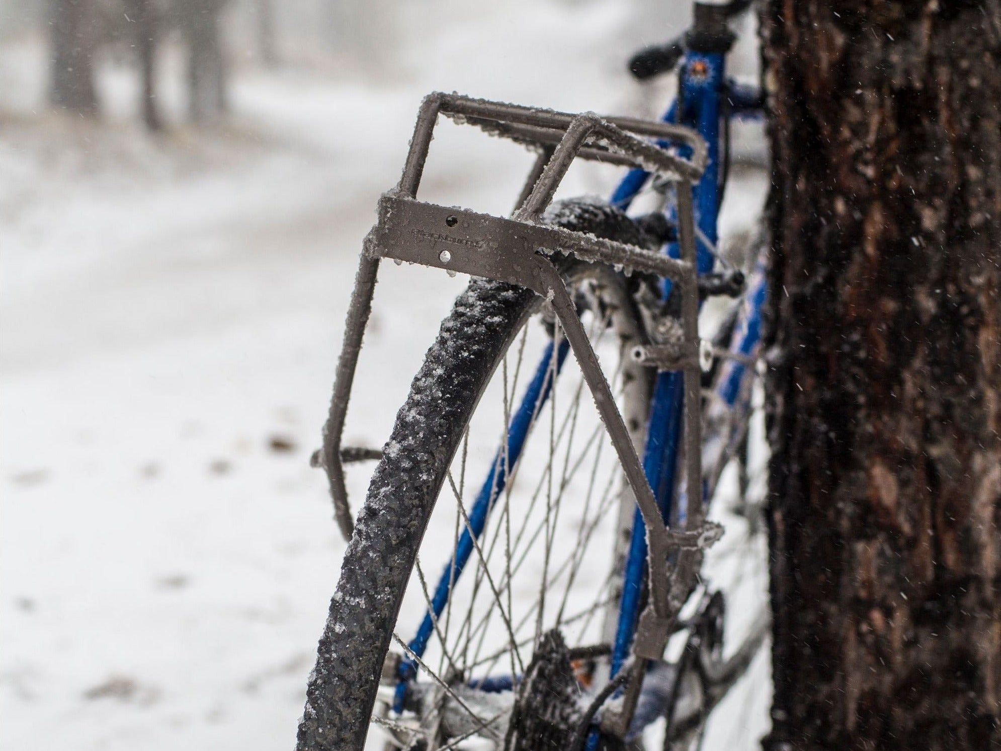 Blackburn Outpost World Touring Rear Rack