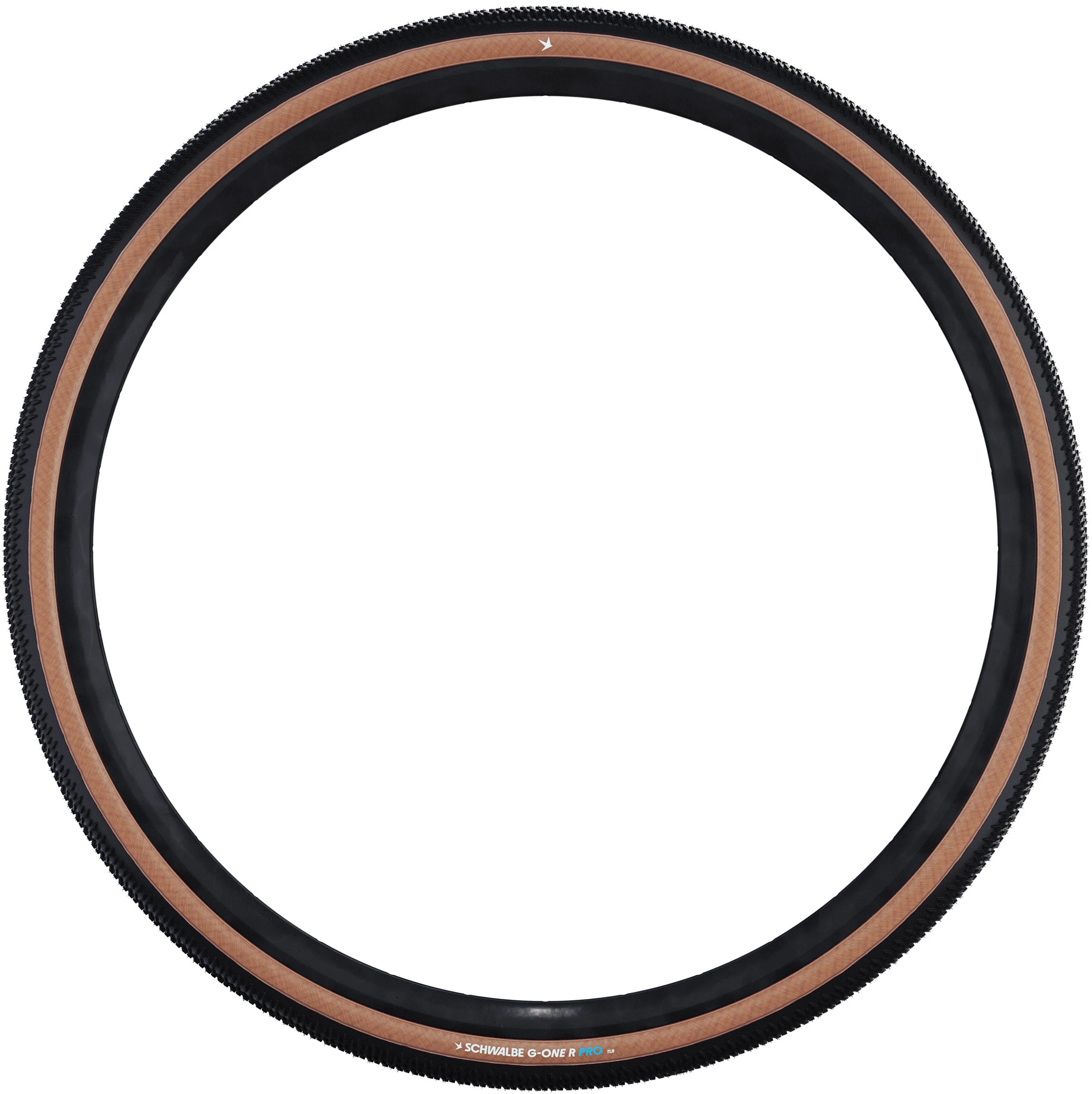 Schwalbe G-One R Pro Tire