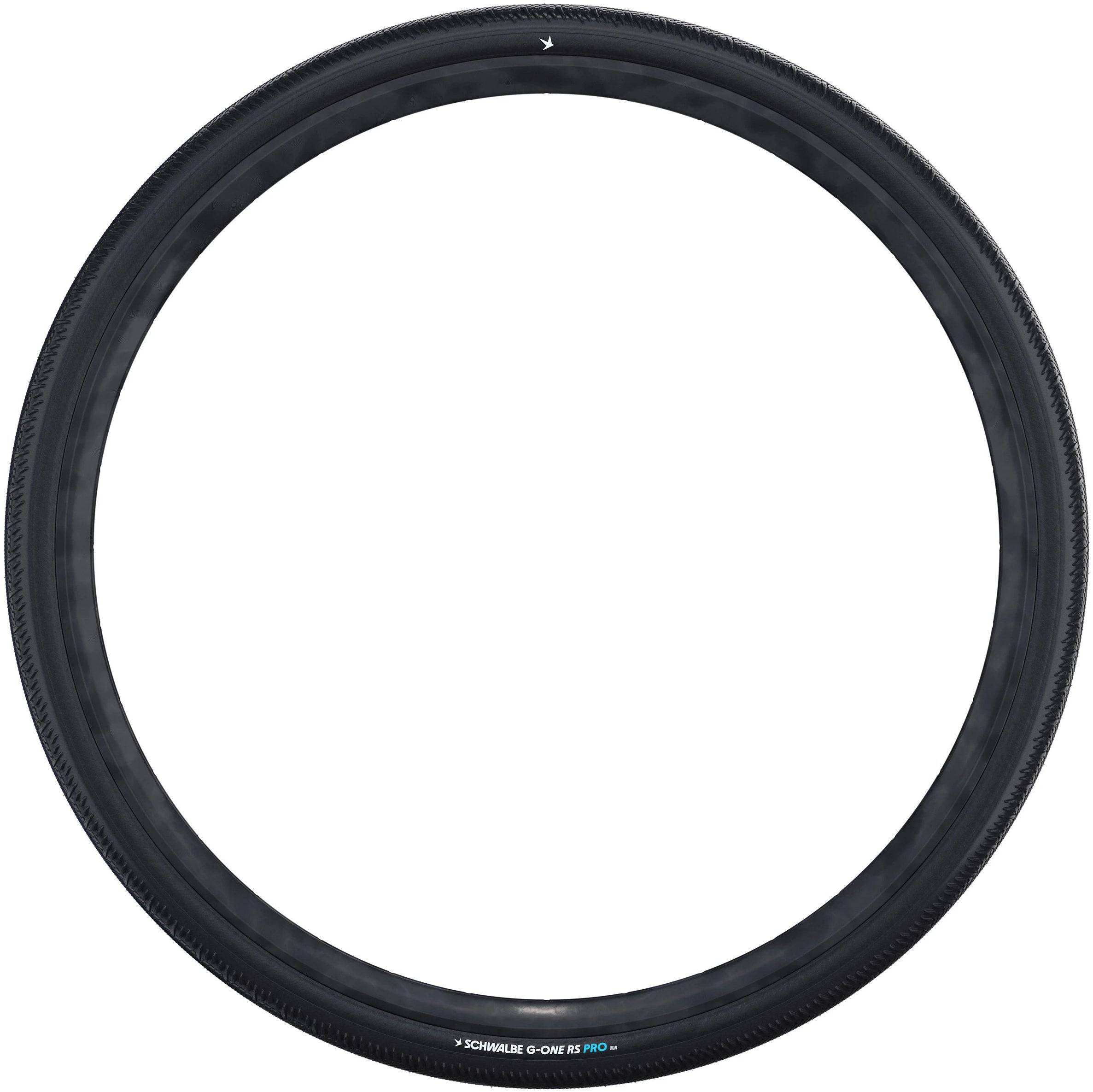 Schwalbe G-One RS Pro Tire